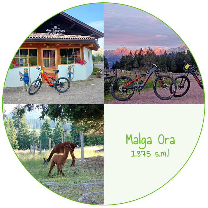 Malga Ora